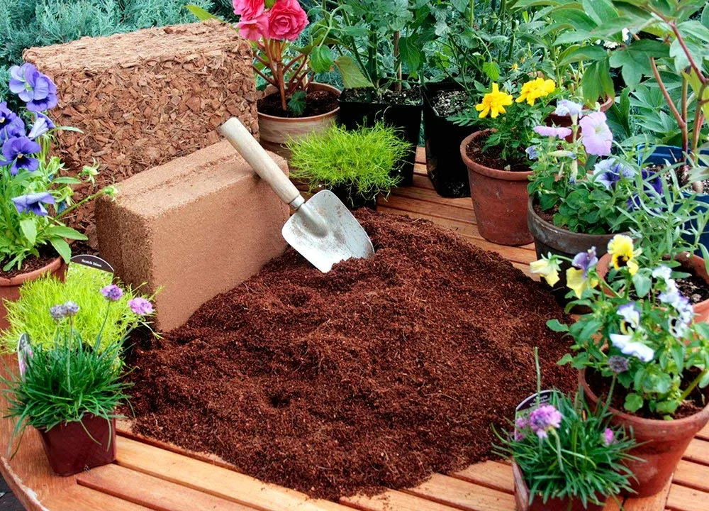 Coco-Peat-2